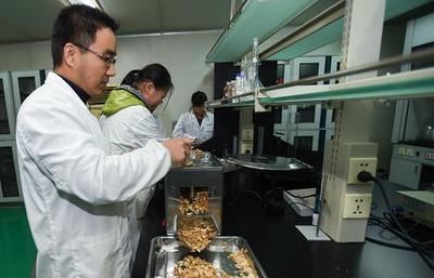 科技創(chuàng)新助力制藥企業(yè)發(fā)展