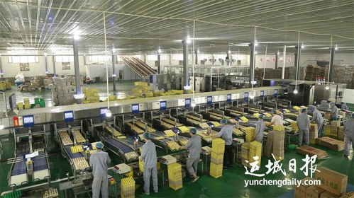 實施鄉(xiāng)村振興的新支撐 我市加快推進農(nóng)產(chǎn)品精深加工產(chǎn)業(yè)高質(zhì)量發(fā)展