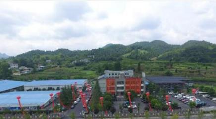 中國魚子醬第一股清江鱘龍漁業