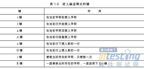 linux沒有盤符的概念 只有一個根目錄,linux系統(tǒng)的文件和目錄 測試工程師核心開發(fā)技術(shù) 4 ...
