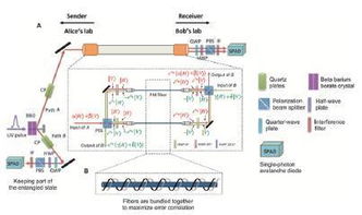 2016年中國重大科學 技術和工程進展 技術篇
